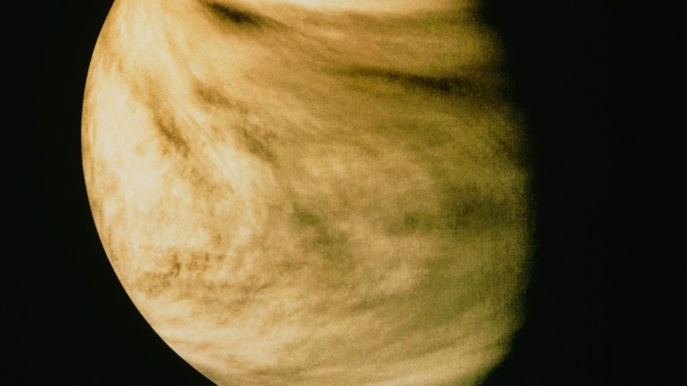 NASA po objevu možných stop života na Venuši zvažuje vlastní misi